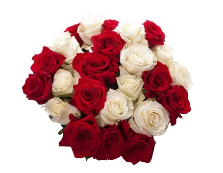 mazzi roselline rosa-1