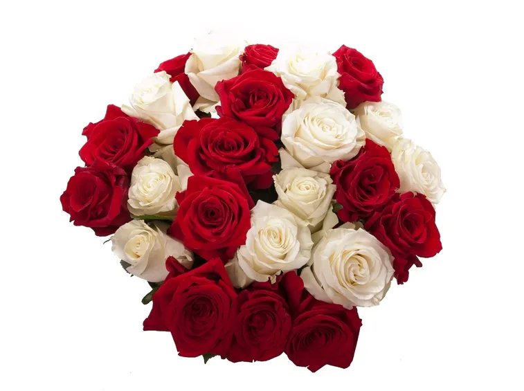 mazzi roselline rosa-1