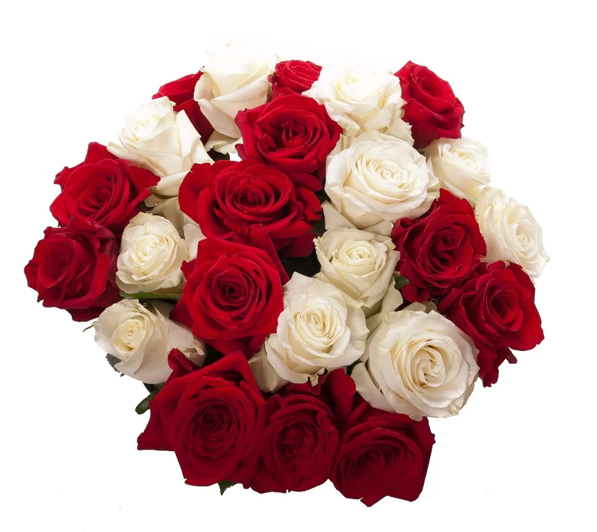 mazzi roselline rosa-1