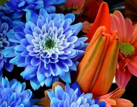 spedizione fiori per defunti-1