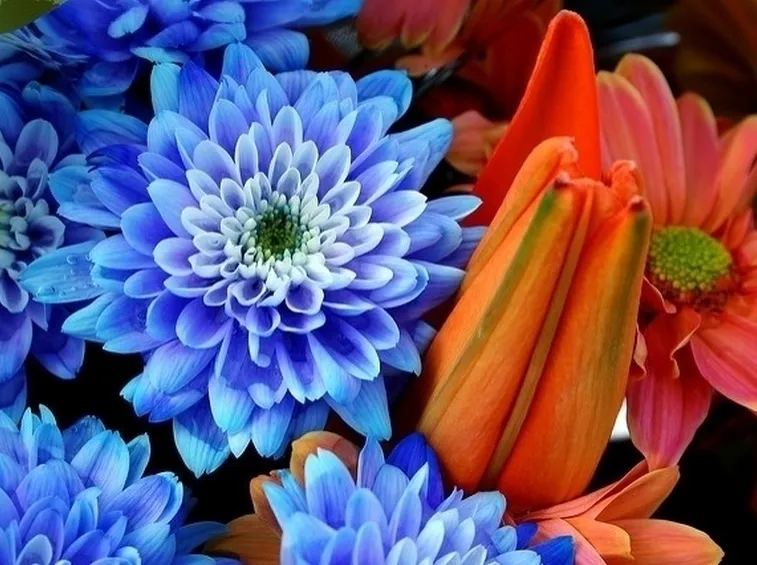 spedizione fiori per defunti-1