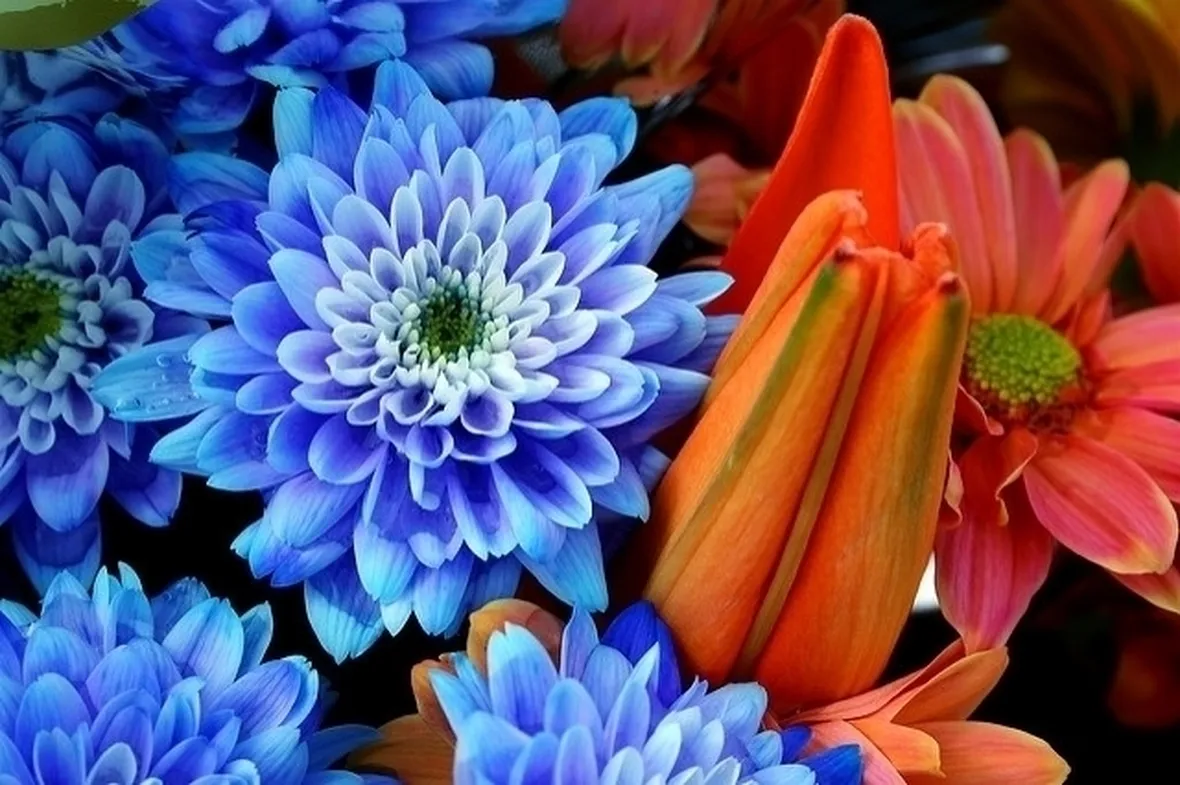spedizione fiori per defunti-1