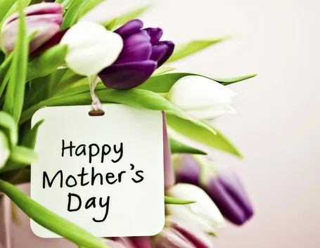 spedizione fiori per la mamma