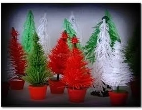 piante per il natale-17