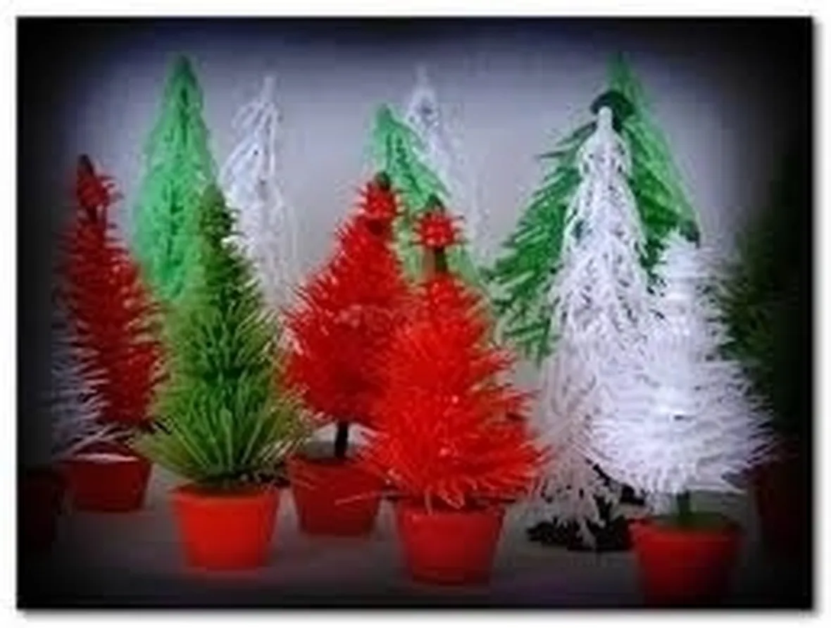 piante per il natale-17