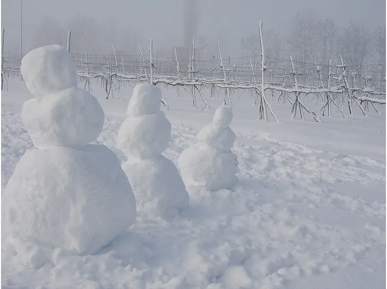 pupazzo di neve-11