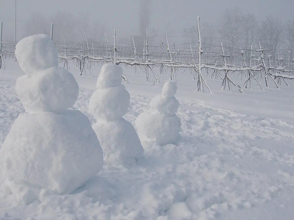 pupazzo di neve-11