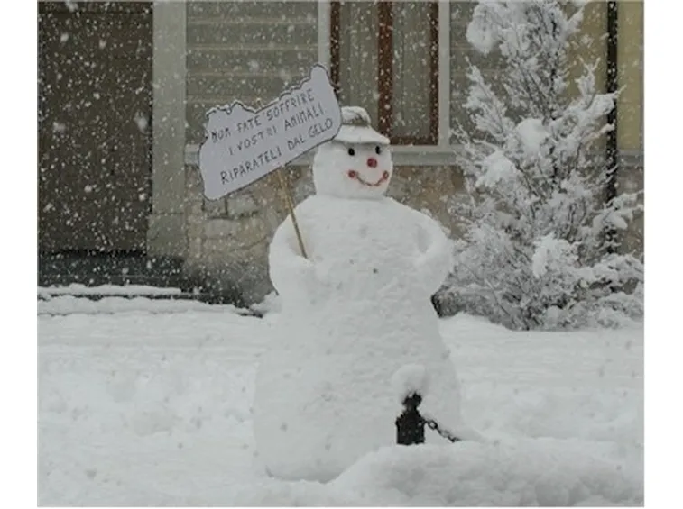 pupazzo di neve-7