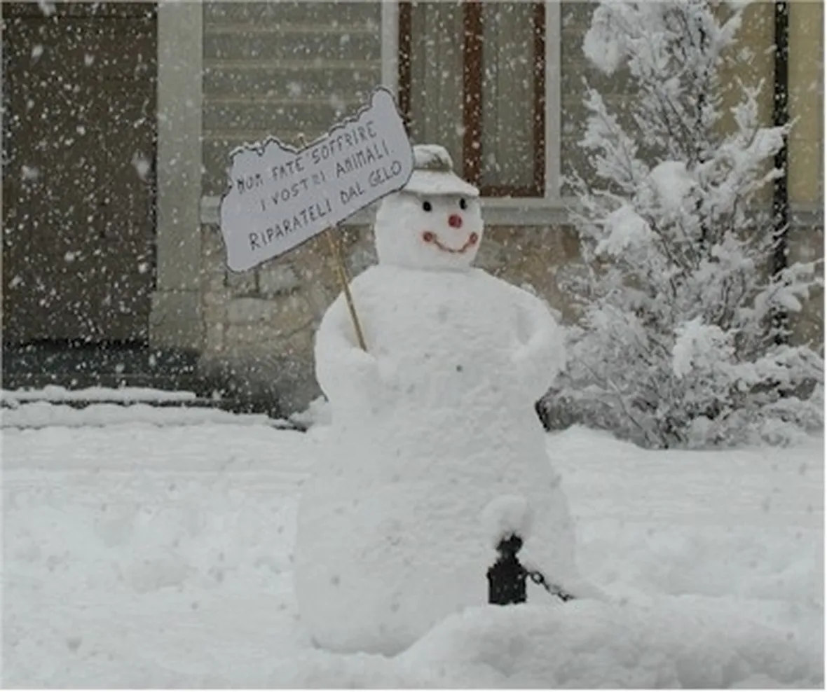 pupazzo di neve-7