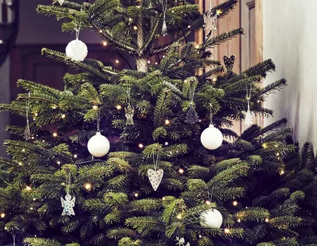 Albero Natale