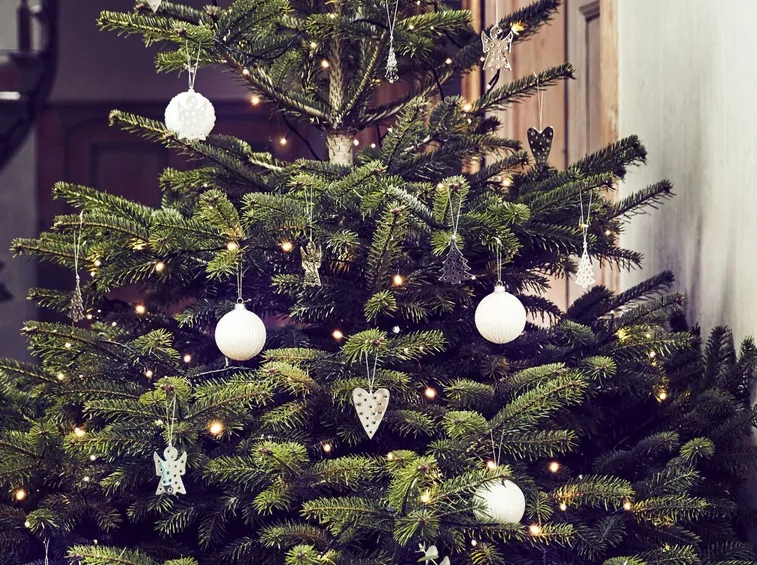 Albero Natale
