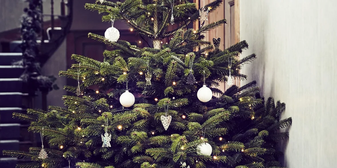 Albero Natale