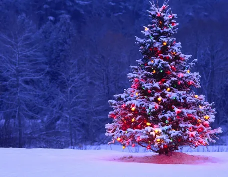 Albero Natale