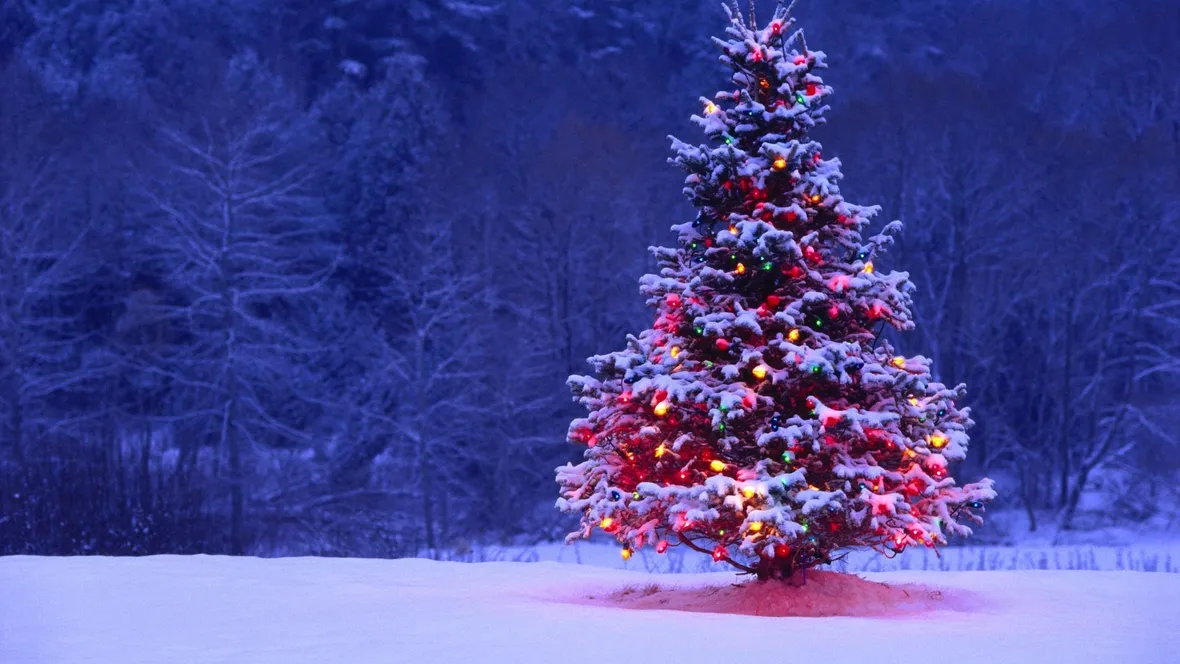 Albero Natale