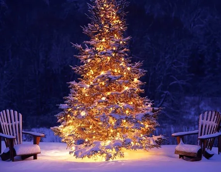 Albero Natale