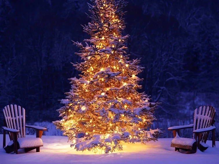 Albero Natale