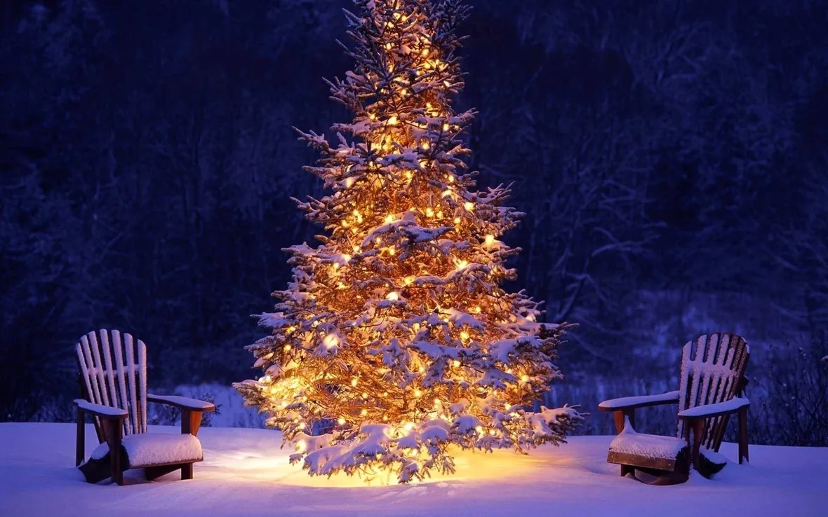 Albero Natale