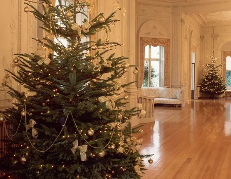 Albero Natale