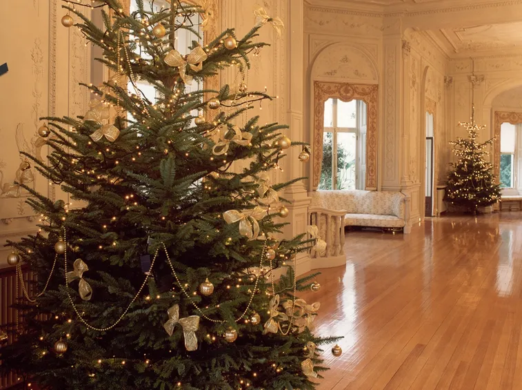 Albero Natale