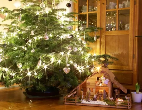 Albero Natale e presepe