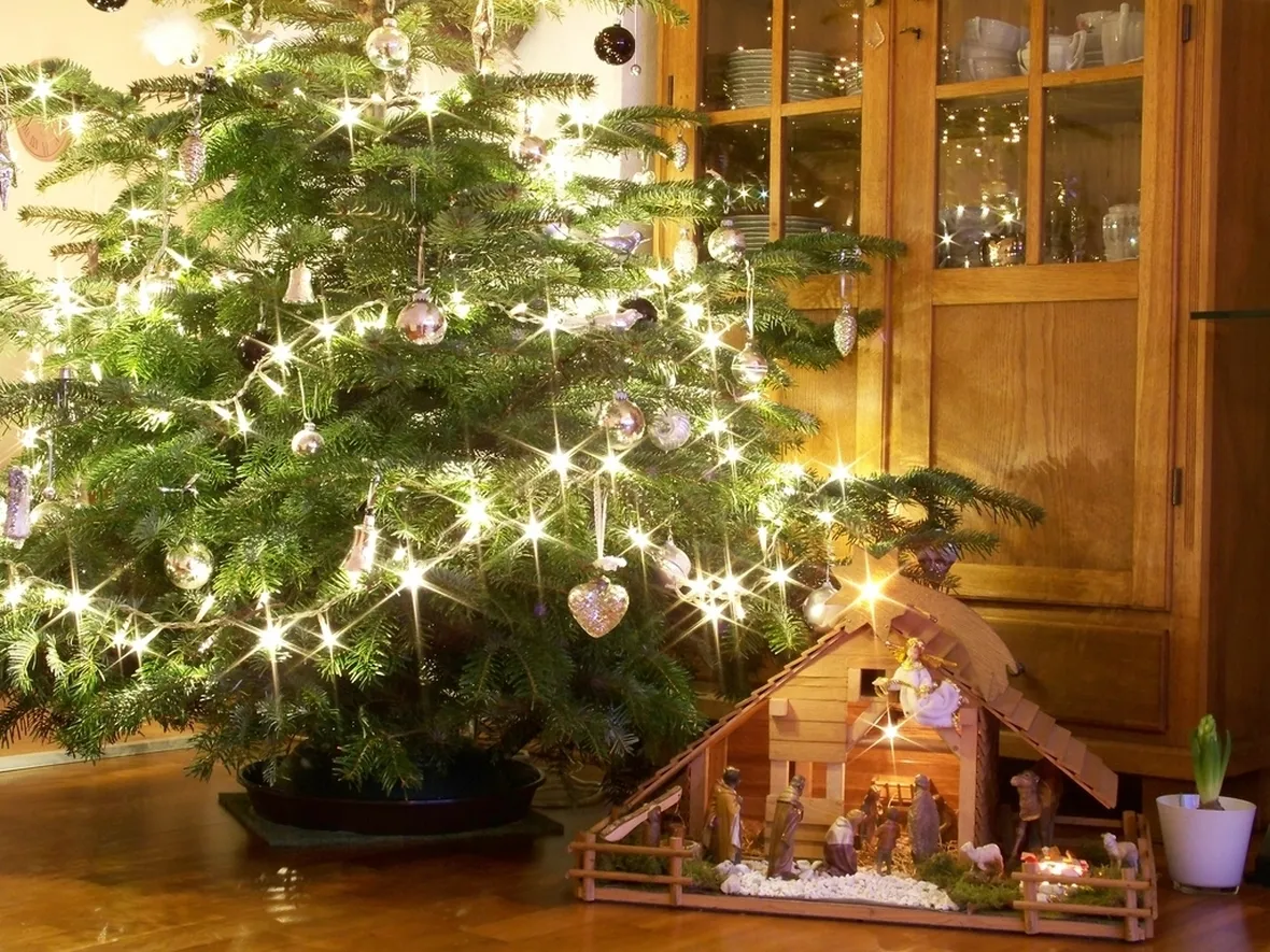 Albero Natale e presepe