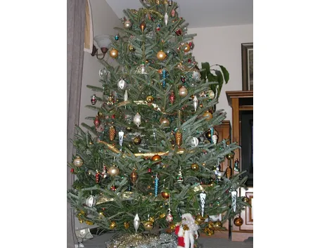 Albero Natale-28