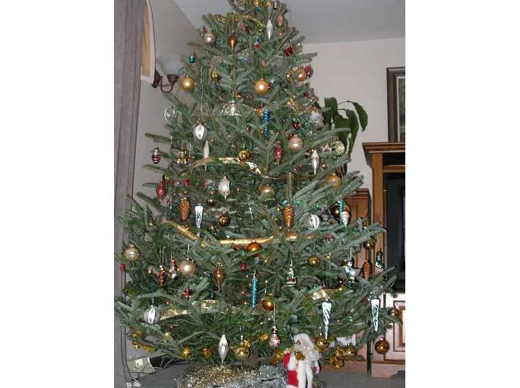 Albero Natale-28