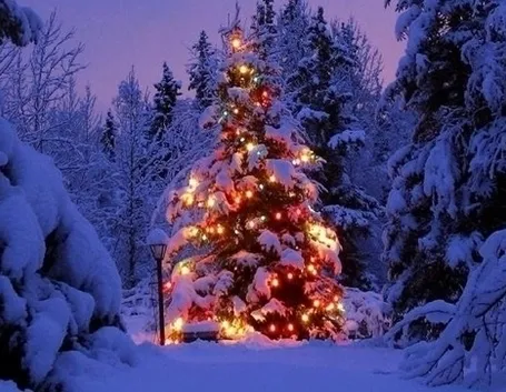 Albero Natale-9