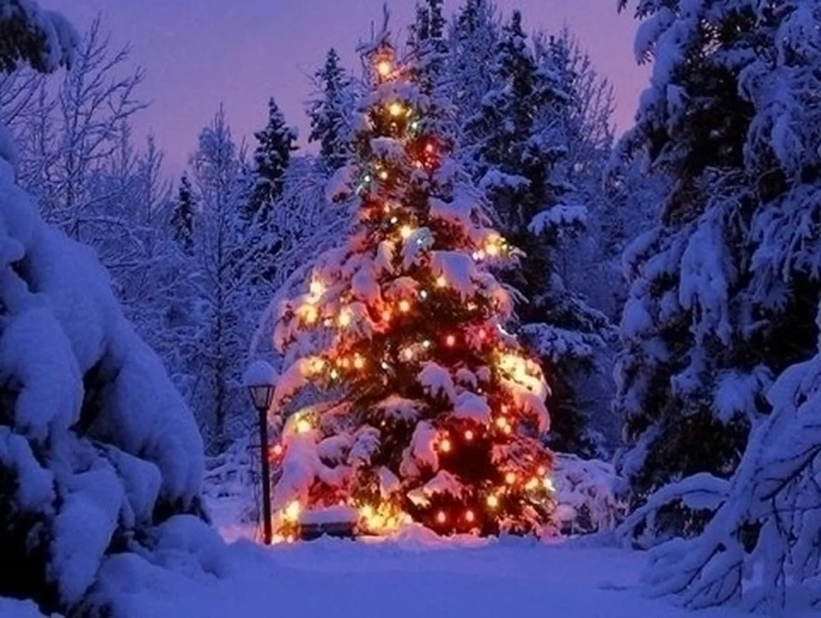 Albero Natale-9