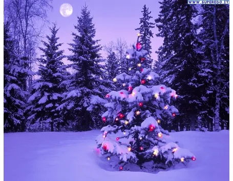Albero Natale