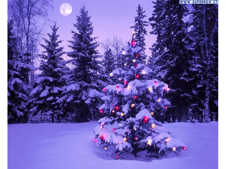 Albero Natale