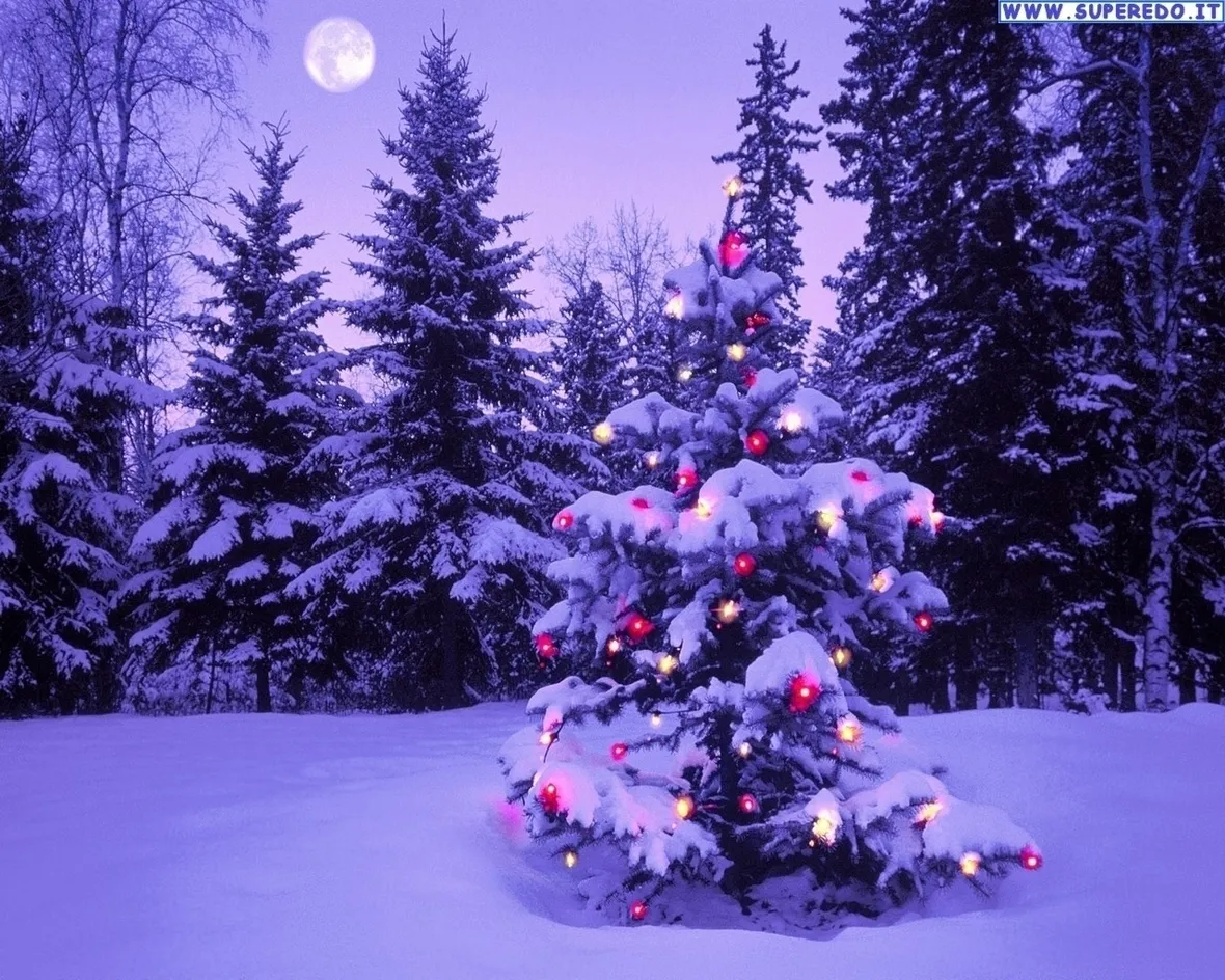 Albero Natale