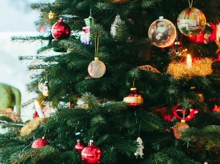 albero di natale