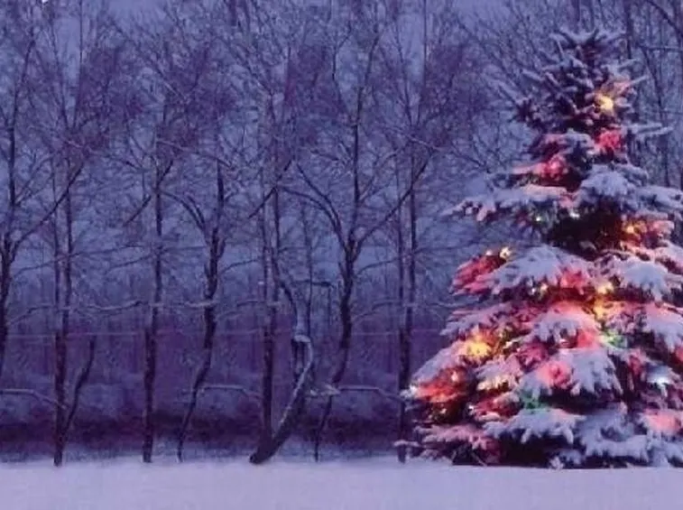 albero di natale finto-3