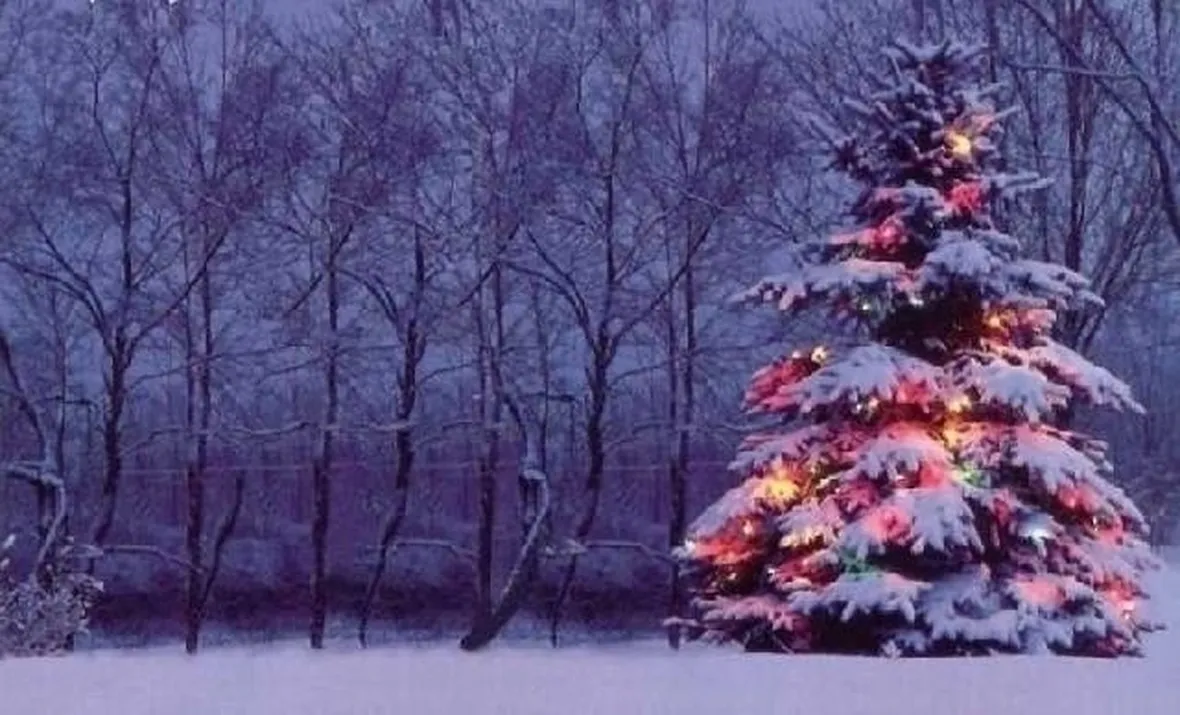 albero di natale finto-3