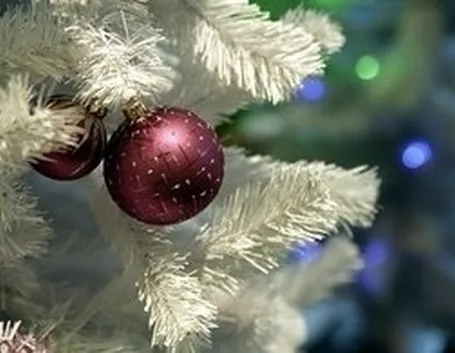 colorare alberi di natale