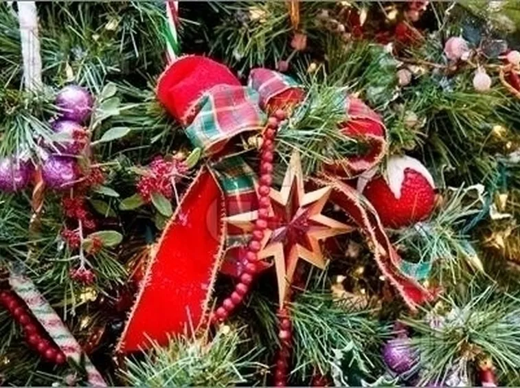 colorare albero di natale-5