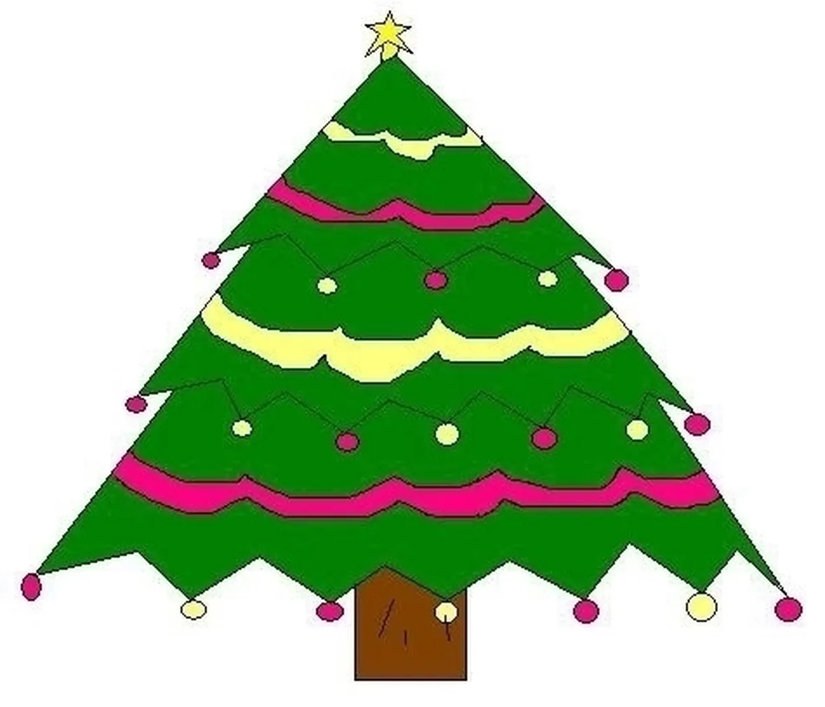 varieta' di alberi di natale-3