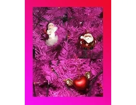 varieta' di alberi di natale-4
