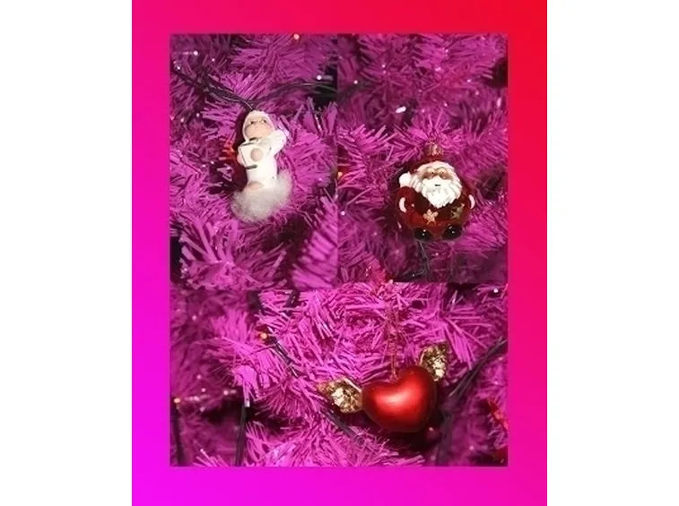 varieta' di alberi di natale-4