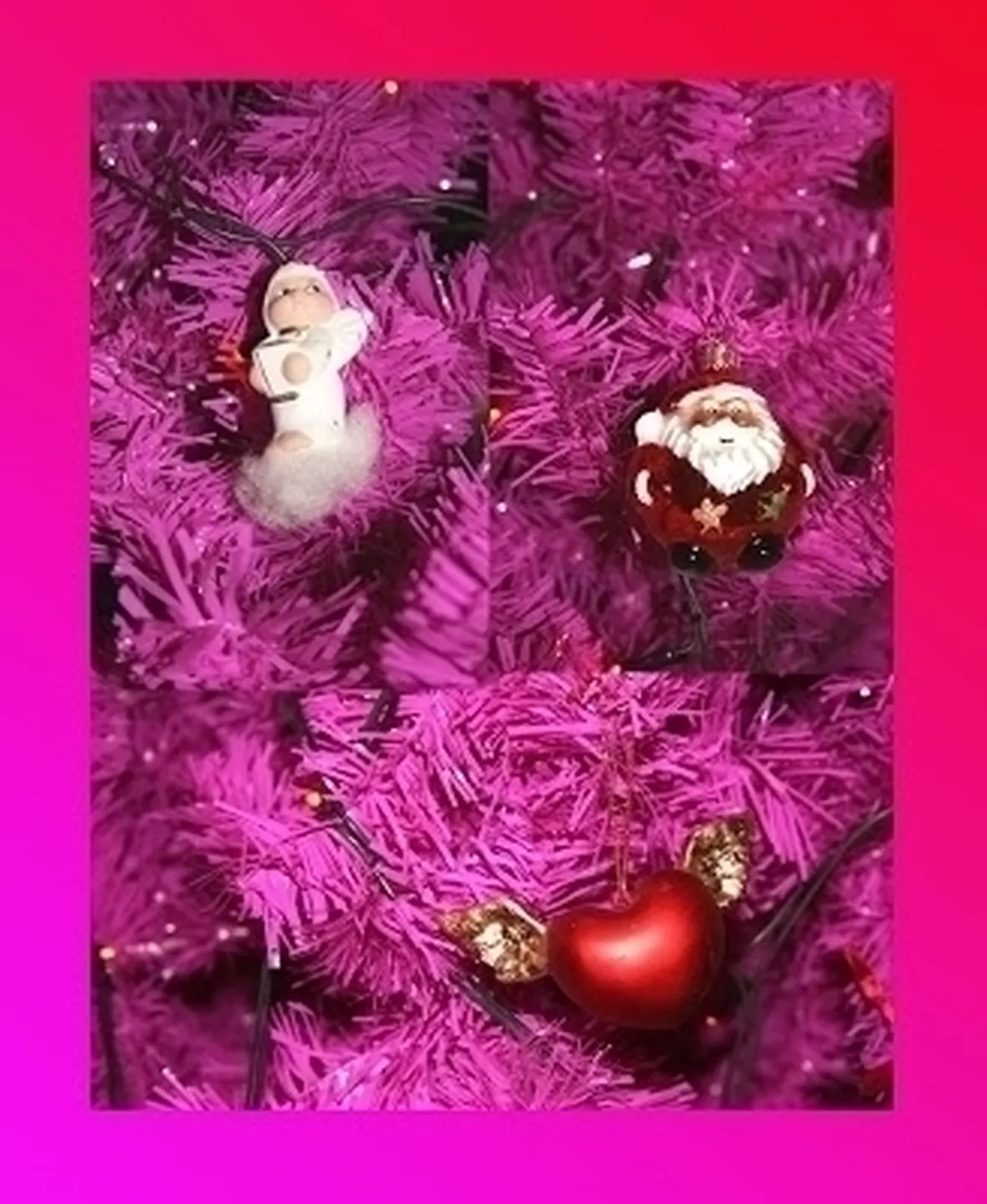 varieta' di alberi di natale-4