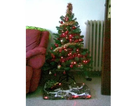 varieta' di alberi di natale