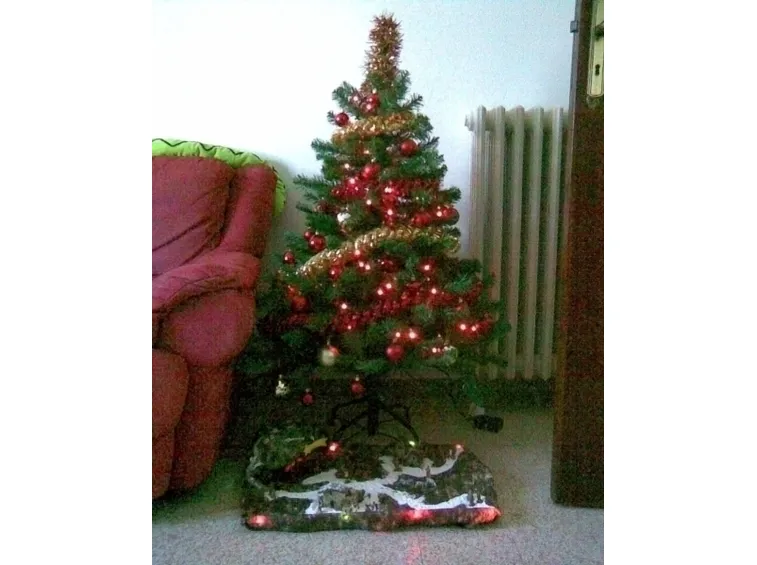 varieta' di alberi di natale