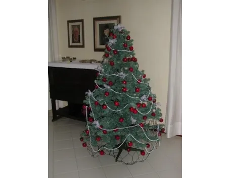 varieta' di alberi di natale