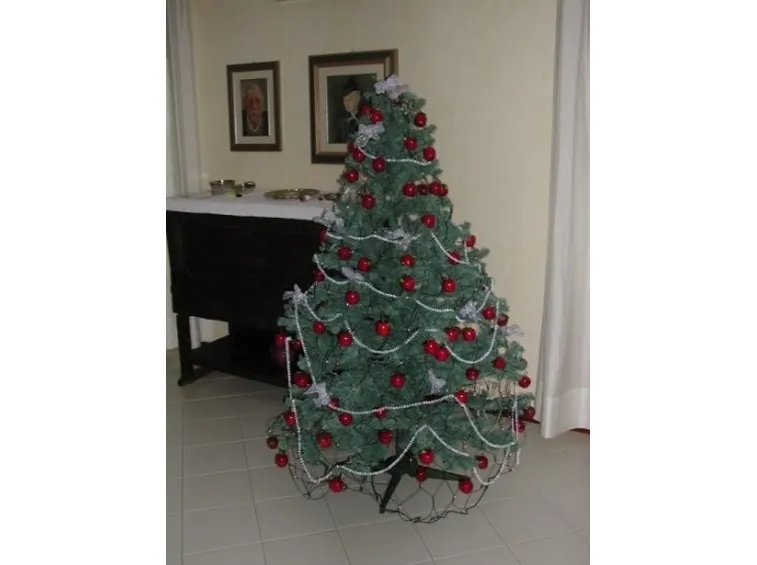 varieta' di alberi di natale