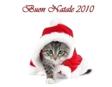 auguri di natale 2010-2