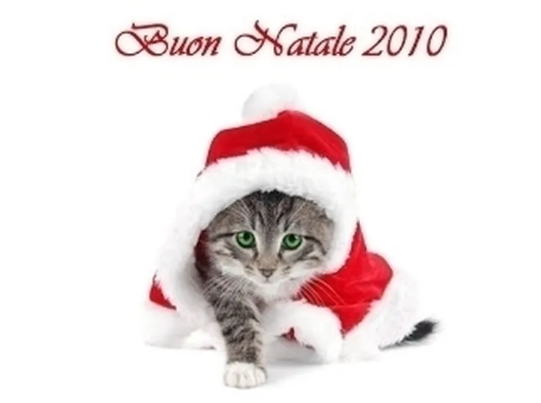auguri di natale 2010-2
