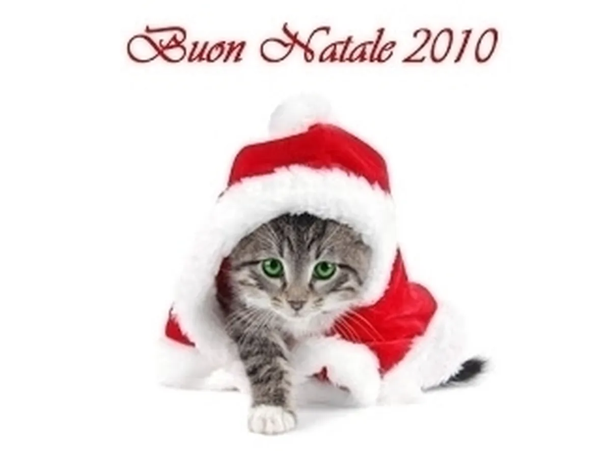 auguri di natale 2010-2