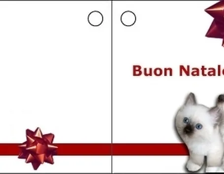 biglietti natale