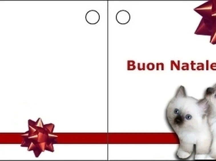 biglietti natale